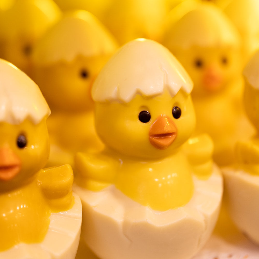 Pollito con cascaron, presentación a granel.