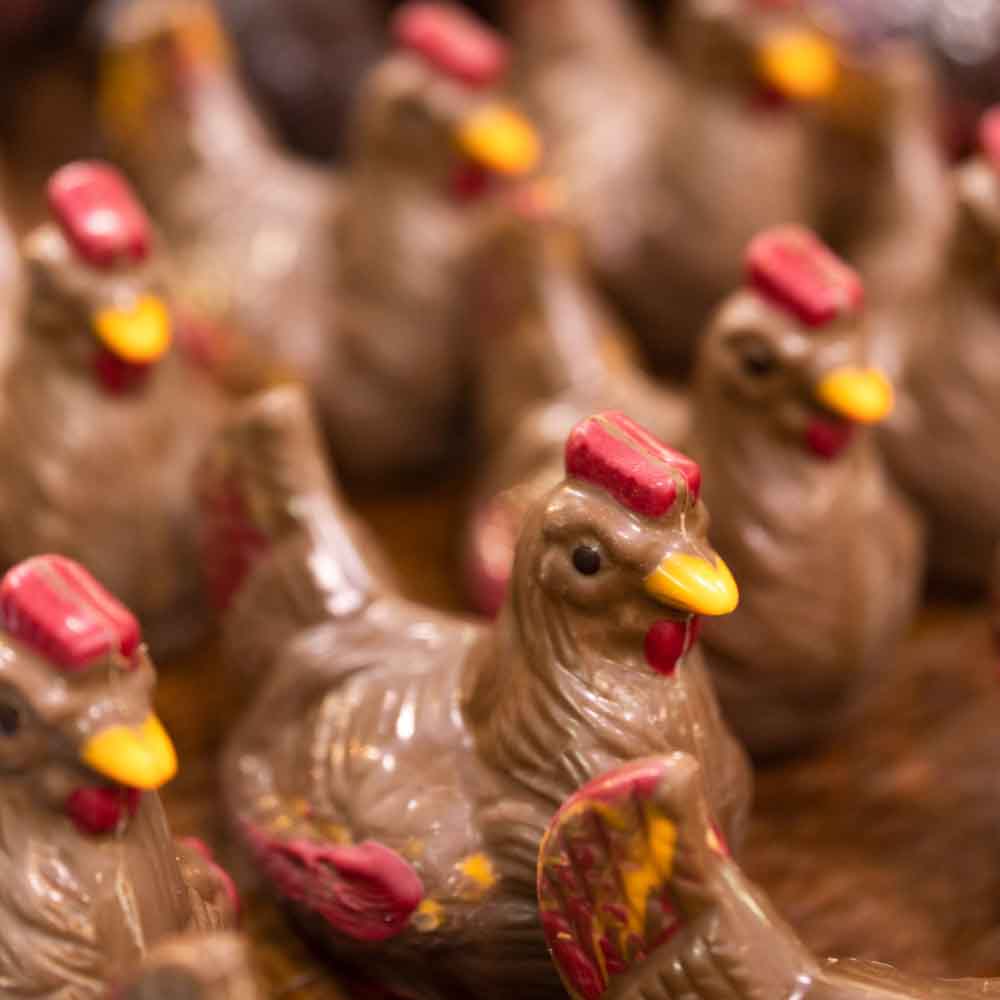 Gallina mini leche en formato a granel.