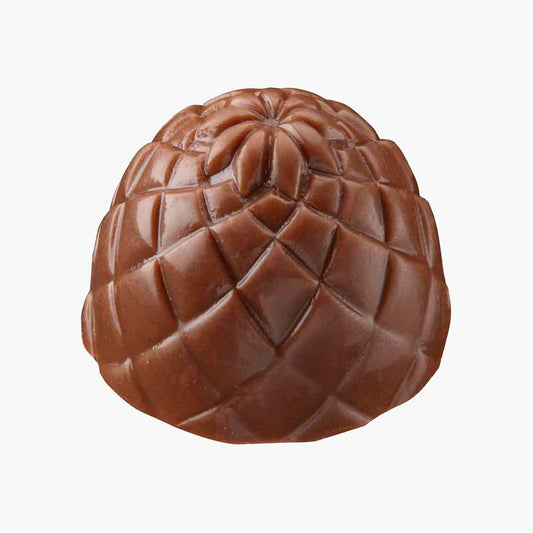 Praline gianduja bombon granel 650g en formato a granel.