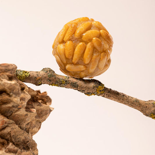 Panellet de pinon granel en formato a granel.