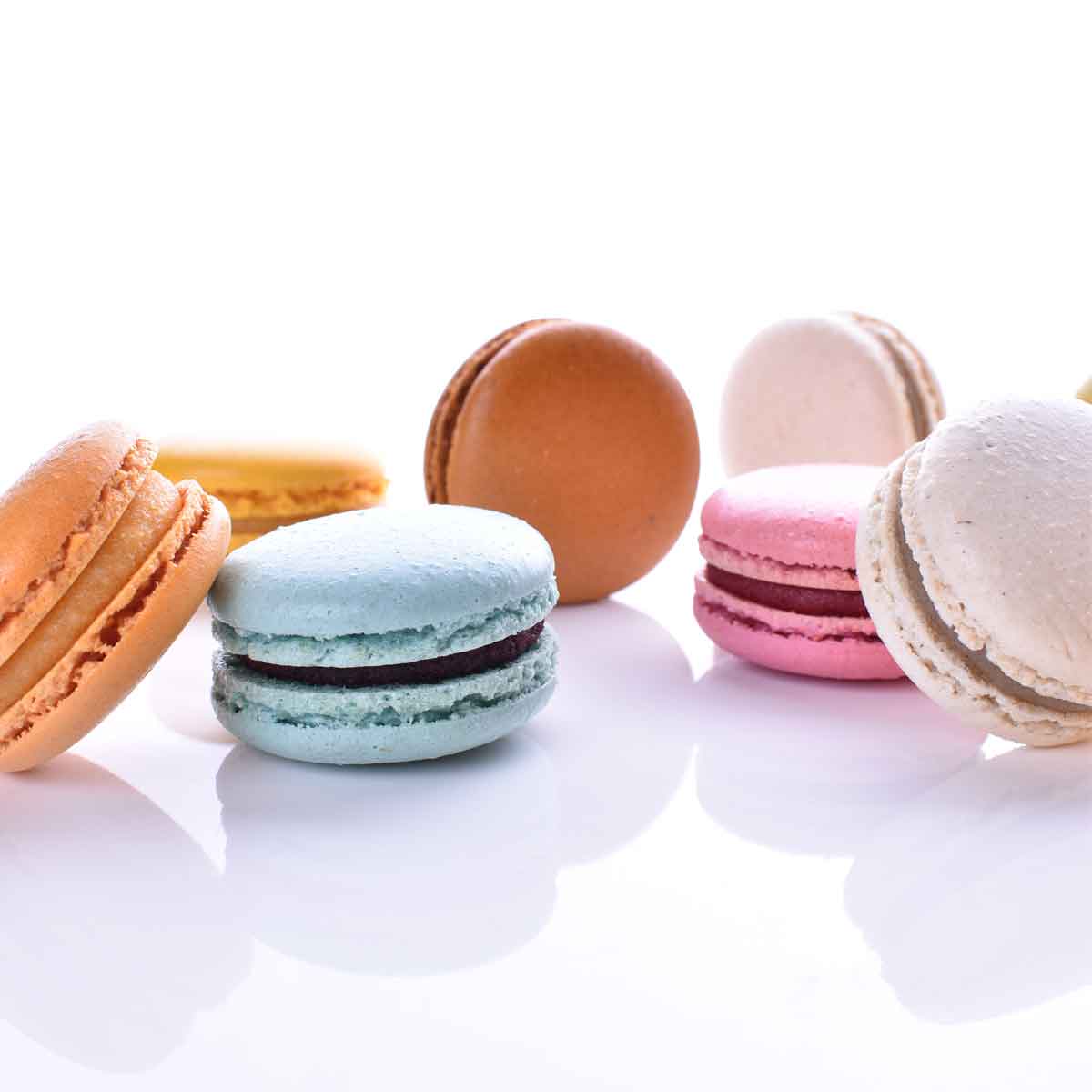 Macaron de arandanos, disponible en presentación a granel.