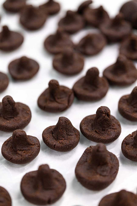 Seta al cacao - Panellet Granel 900g