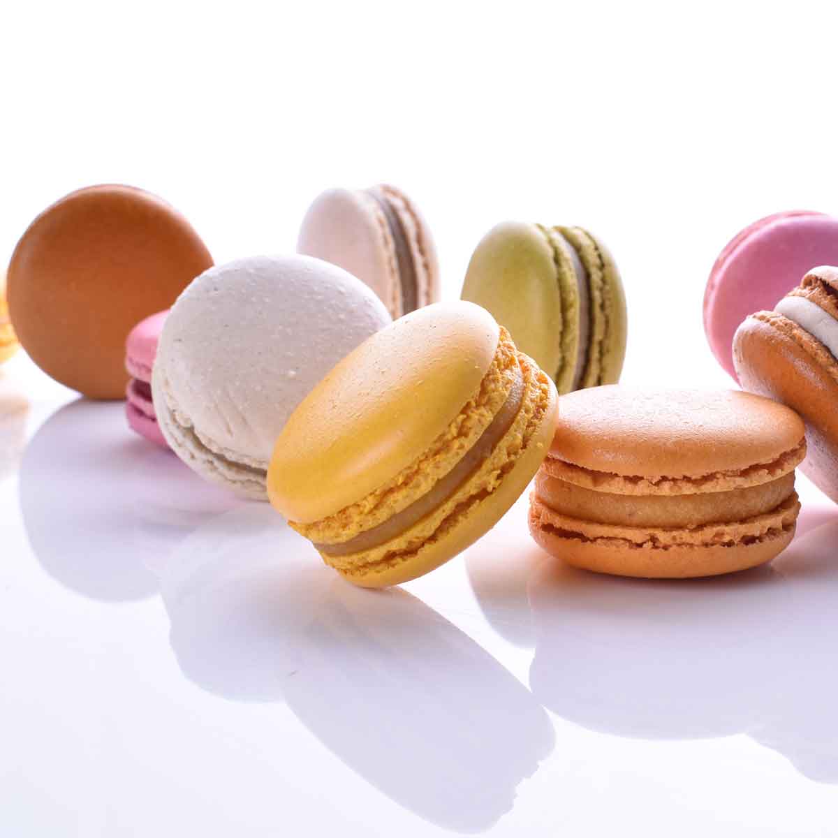 Macaron chocolate negro en formato a granel.